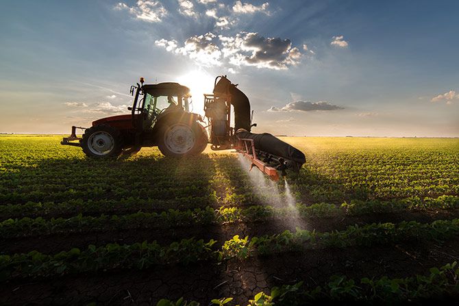 A large farm tractor in a huge flat field of small growing plants while spraying them with liquid during an evening sunset.